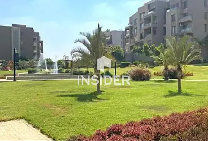 117282345 - Property Image 3