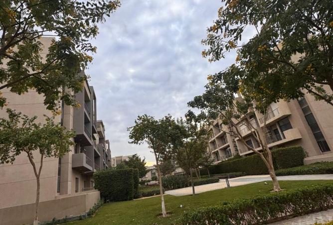77051849 - صورة العقار 3