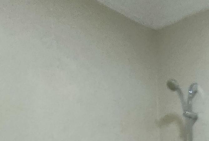 95474170 - Property Image 2