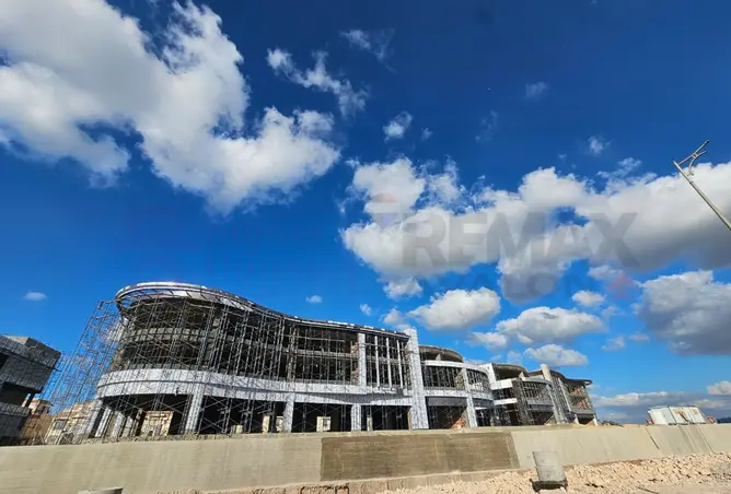 112705924 - Property Image 2
