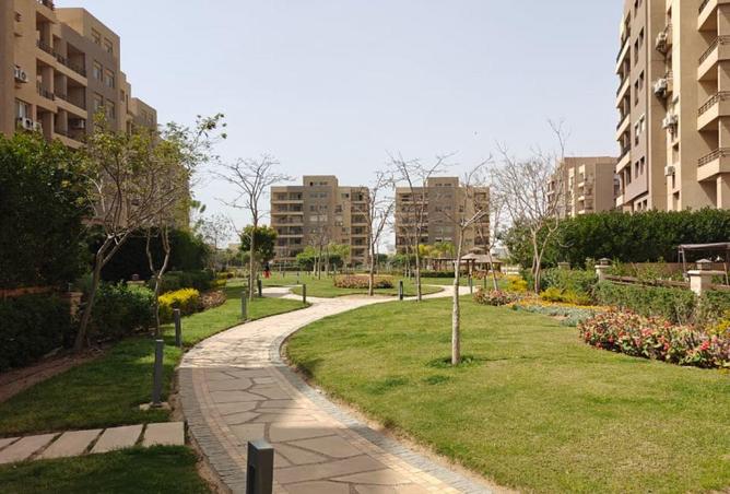 66953681 - صورة العقار 3