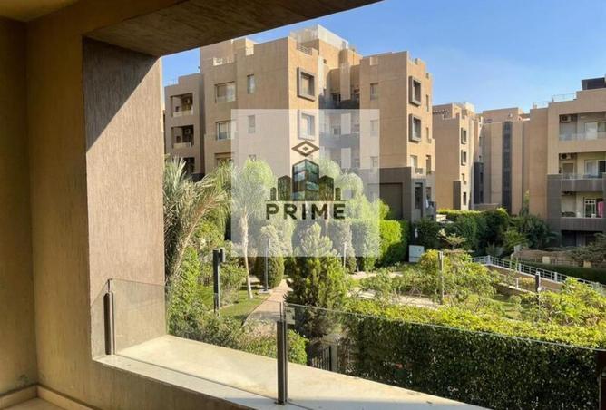 55747944 - Property Image 3