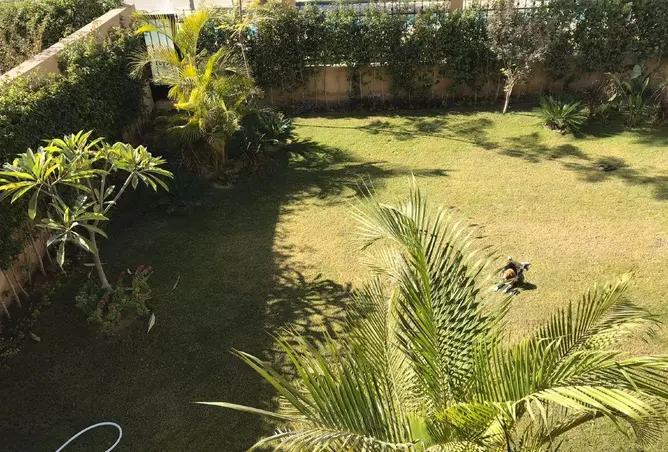 83133720 - صورة العقار 3