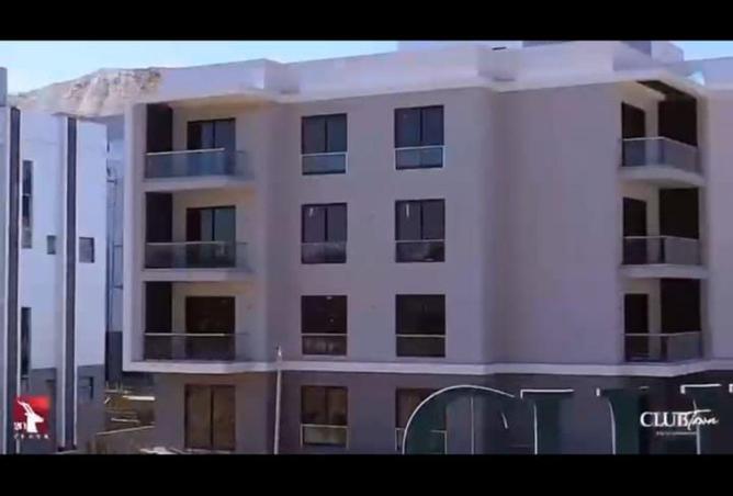 65921904 - Property Image 3