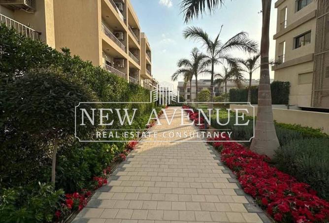 59492805 - Property Image 3