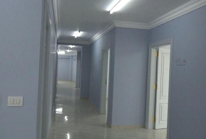 105161900 - صورة العقار 3