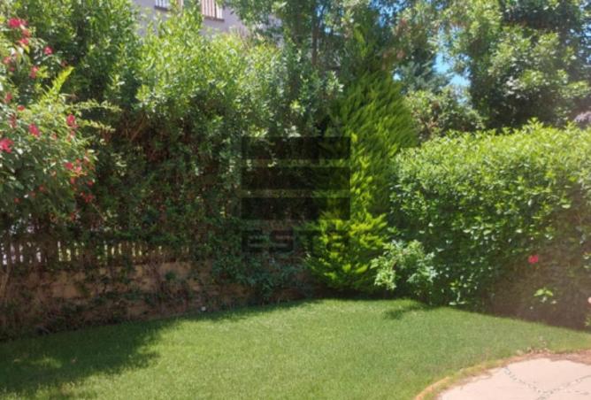 54230675 - صورة العقار 3