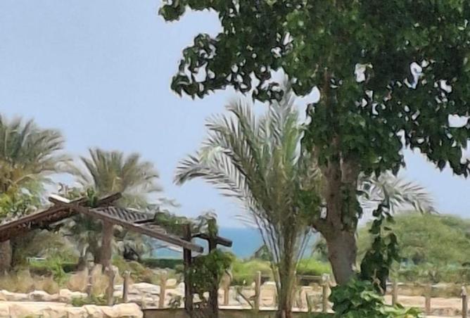 77061073 - صورة العقار 2