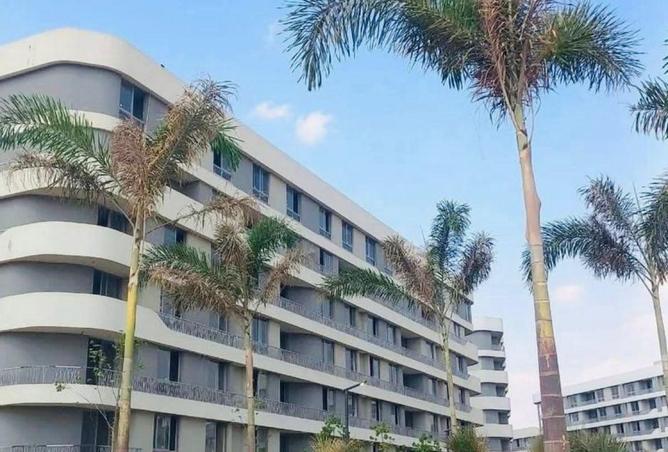 61690841 - Property Image 3