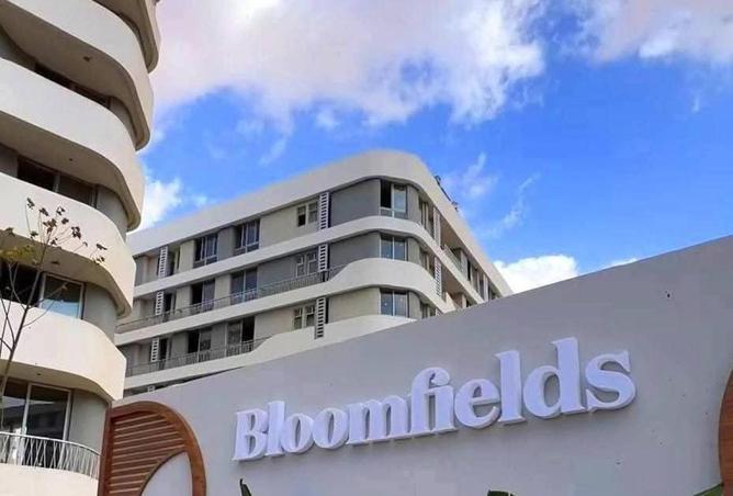 52457102 - صورة العقار 2