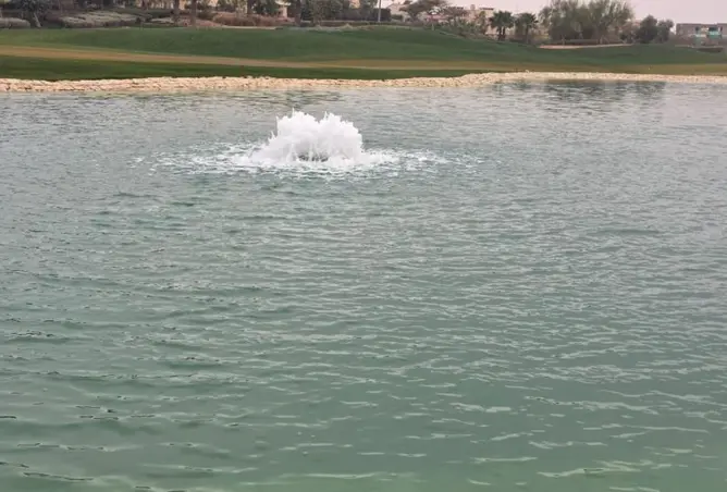 97713847 - صورة العقار 3
