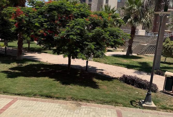 104602218 - صورة العقار 3