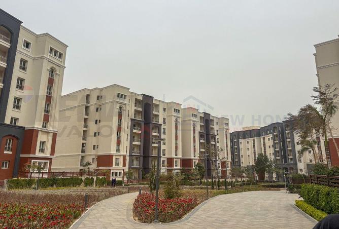 59245983 - Property Image 3