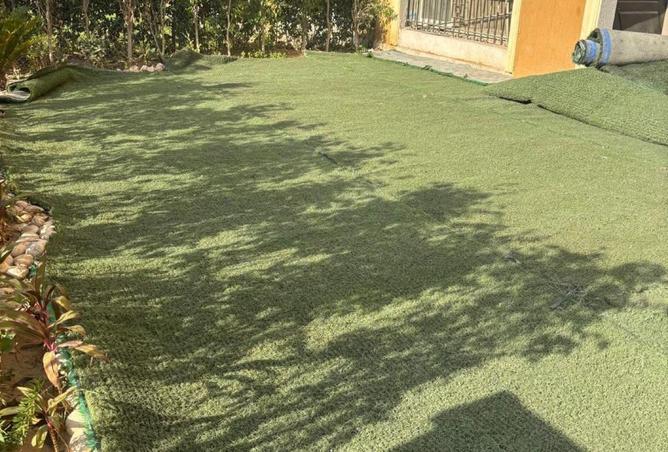 71655117 - صورة العقار 2
