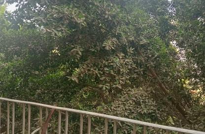 Apartment - 2 - 1 for rent in Al Falouga St. - 1st Zone - Nasr City - Cairo Apartment - 2 - 1 for rent in Al Falouga St. - 1st Zone - Nasr City - Cairo