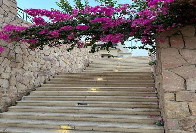 57191494 - صورة العقار 3