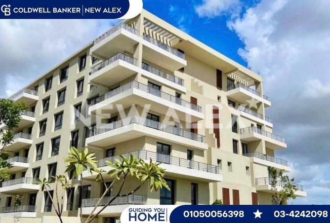 54236102 - صورة العقار 2