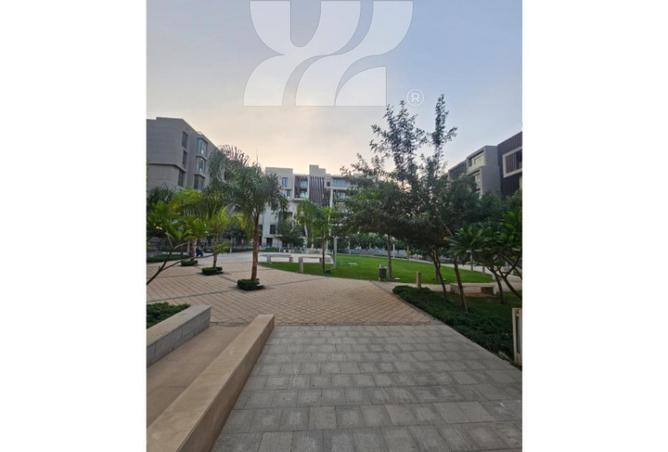 73488869 - صورة العقار 3