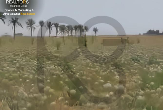 64394016 - صورة العقار 3