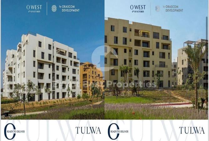 8561575 - Property Image 3