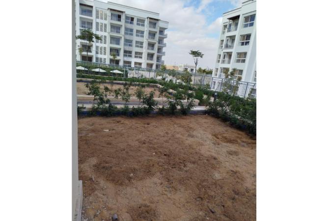 77048585 - Property Main Image