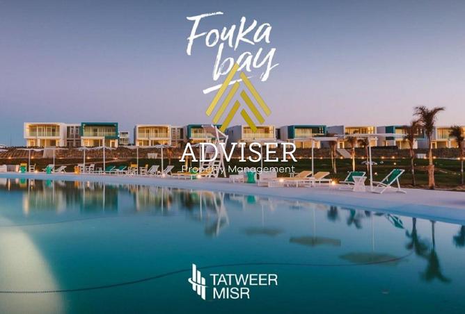 66425789 - Property Image 3