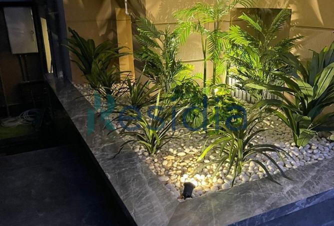 70362099 - صورة العقار 3