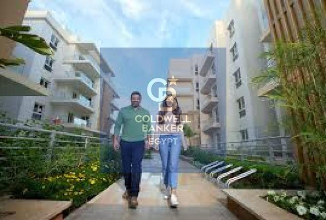 55751186 - صورة العقار 3