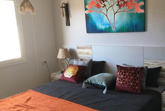 67735505 - صورة العقار 3