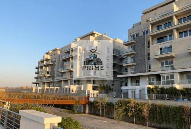 8612869 - Property Image 3