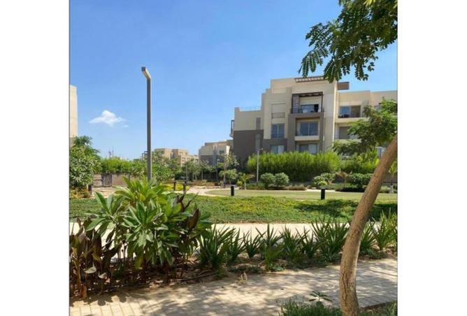 55761399 - Property Image 2