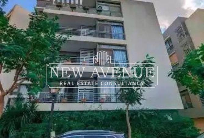 66685543 - Property Image 3