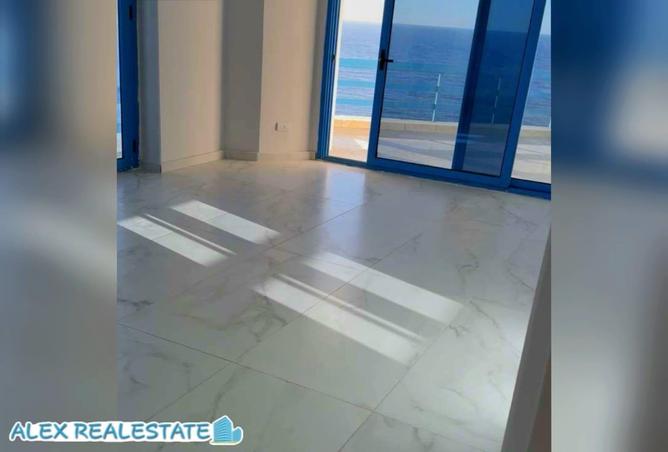 56240505 - Property Image 2