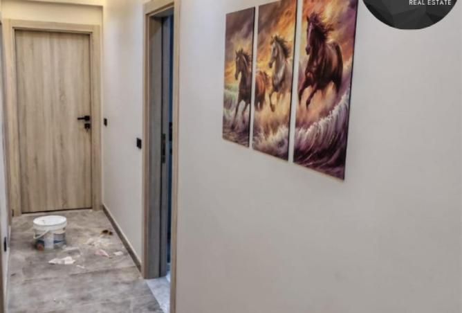 77049428 - Property Image 3