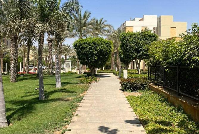 66964343 - صورة العقار 2