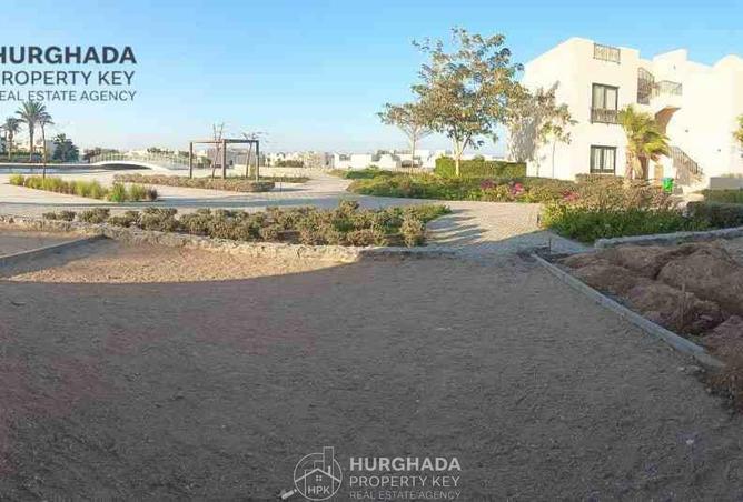 55498962 - Property Image 3