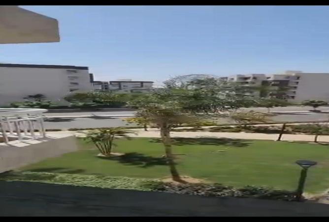 66424900 - صورة العقار 3