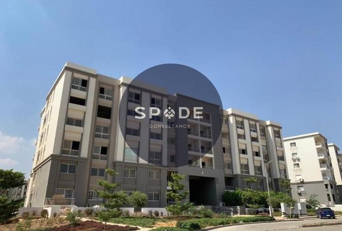 56495636 - صورة العقار 3