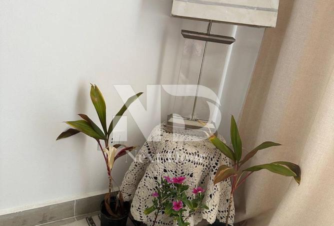 97992633 - صورة العقار 2