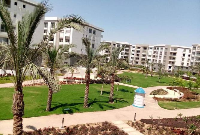 55747471 - صورة العقار 3