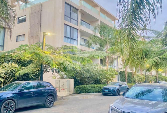 56253048 - الصورة الرئيسية للعقار