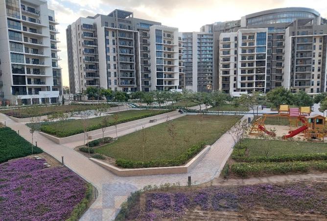 66168427 - Property Image 2