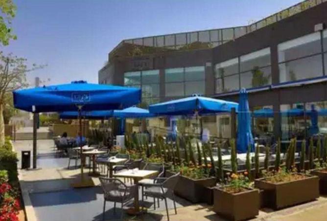 61203442 - صورة العقار 3