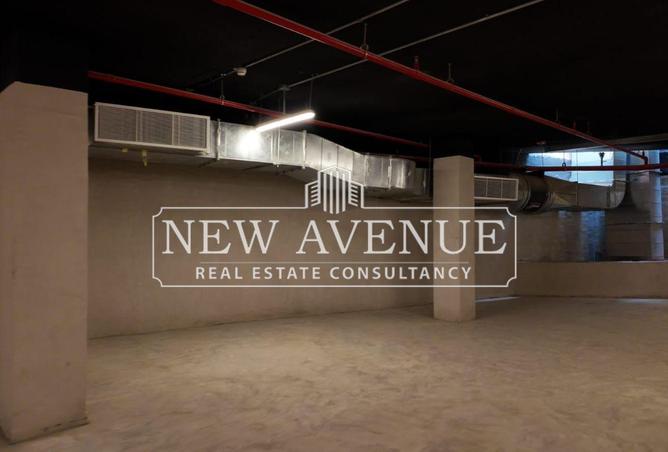 61441922 - Property Image 3