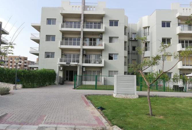 56250594 - Property Image 3