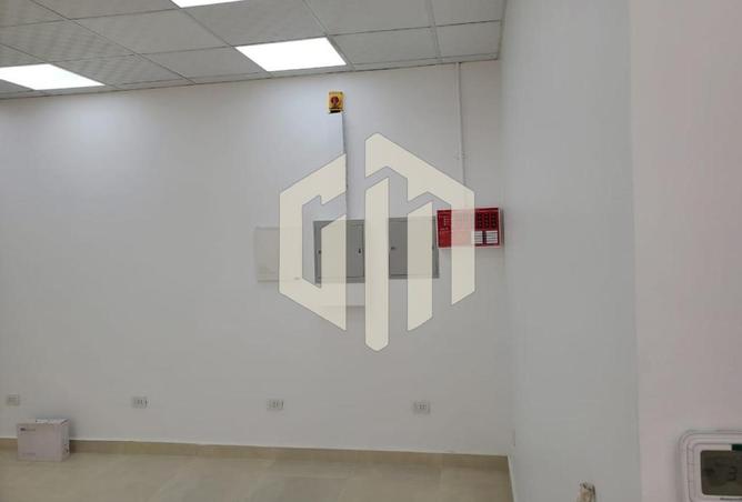 66423878 - صورة العقار 3