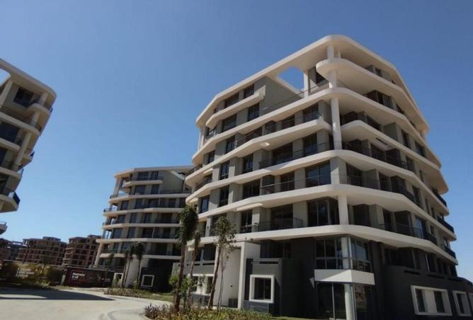 59495316 - Property Image 3