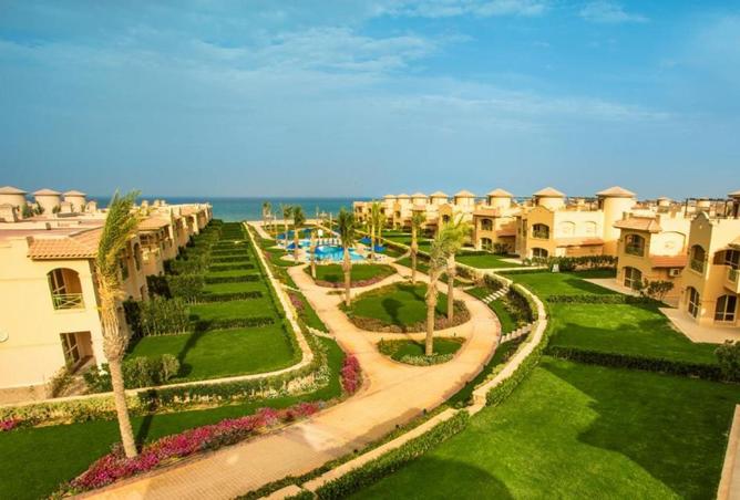 65155083 - صورة العقار 3