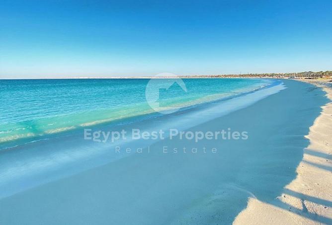77611230 - صورة العقار 2