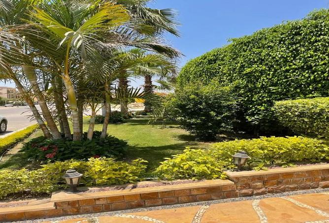 101200368 - صورة العقار 2